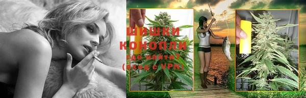 винт Нея