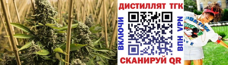 Купить закладки  Петушки  Дистиллят ТГК вейп с тгк 