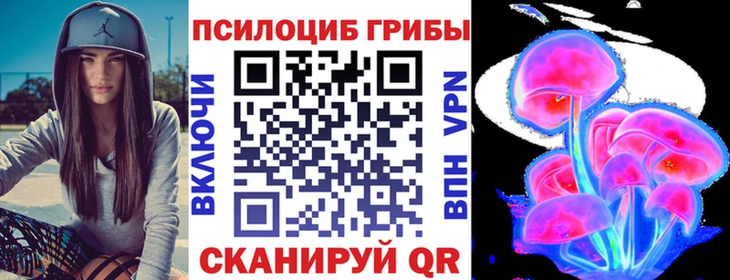 Псилоцибиновые грибы Psilocybine cubensis  Купить где  Петушки 